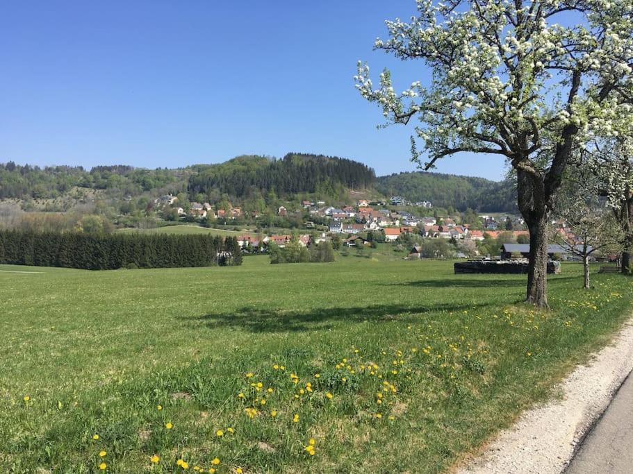 Ferienwohnung Albliebe Messstetten 외부 사진